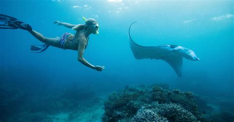 From Bali Swim With Manta Rays In Nusa Penida Getyourguide