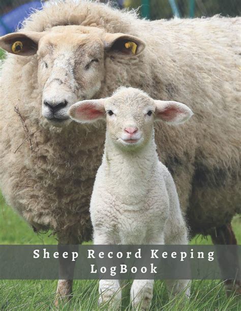 Buy Sheep Record Keeping Logbook Vital Information And Medical Journal