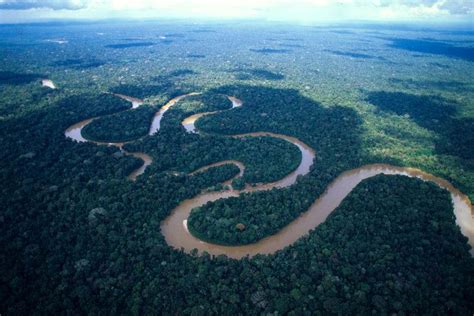 El Amazonas El Pulmón Del Planeta Hotel Boutique Casa De Orellana