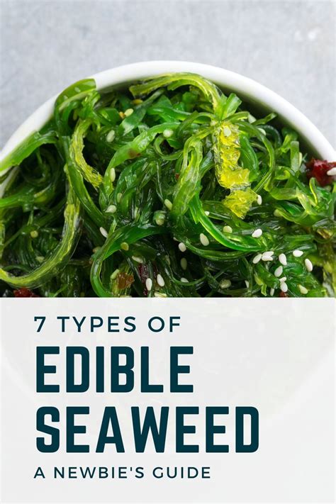 Edible Seaweed Nori Seaweed Sea Weed Recipes Amazing Vegetarian