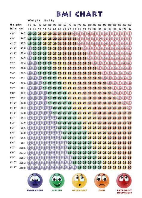 Navy Bmi Chart Amulette