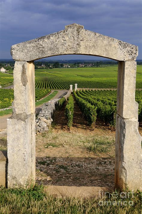 Portal Of Vineyardburgundy France Photograph By Bernard Jaubert