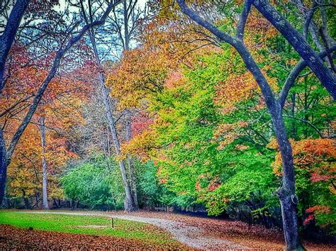 Maybe you would like to learn more about one of these? Meeks Park - Blairsville, GA. For cabin rental information ...