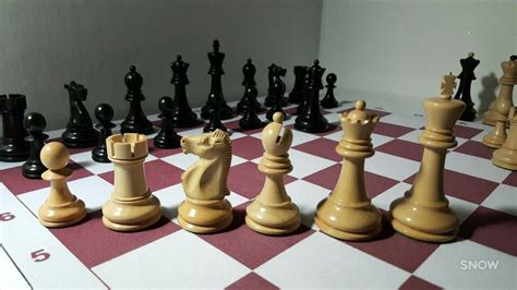 Which Board Matches Best With Fischer Spassky Chess Chess Forums