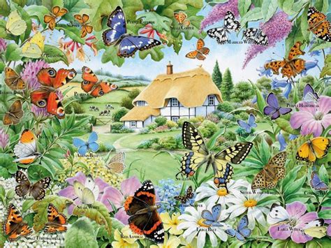 Butterfly Garden Wallpapers Top Free Butterfly Garden Backgrounds
