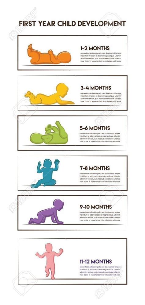 Stages Of Development Of The Child Milestones For The First Year Baby