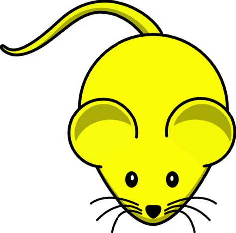 Download High Quality Mouse Clipart Science Transparent Png Images