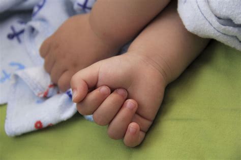 Baby Hand Free Photo Download Freeimages