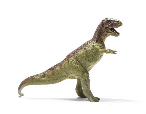 Buy Prextex Realistic Looking 25cm Dinosaurs Pack Of 12 Large Plastic