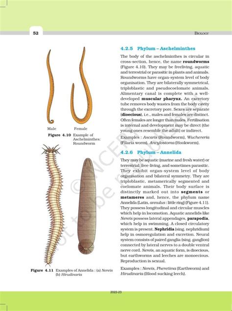 Ncert Book For Class 11 Biology Chapter 4 Animal Kingdom