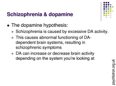 Dopamine Hypothesis Schizophrenia Brain System Hypothesis