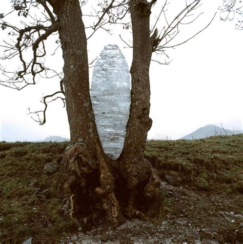 Andy Goldsworthy Trees