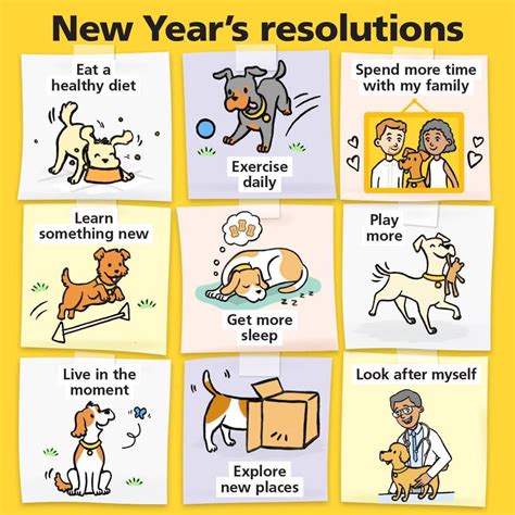 New Years Resolution To Live Like A Dog Fiona Cullinan