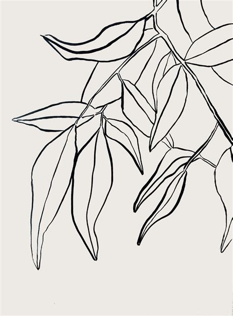 Sumi Leaves Botanical Drawing Via Besotted Flower Prints And Floral