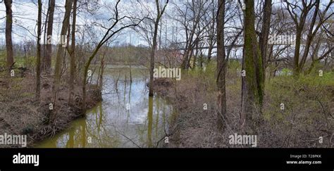 Train Track Railway Bridge Views Along The Shelby Bottoms Greenway And