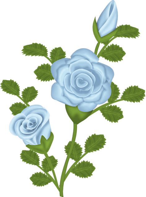 Blue Roses Drawings