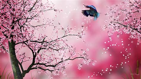 Spring In Japan Wallpapers Pixelstalknet