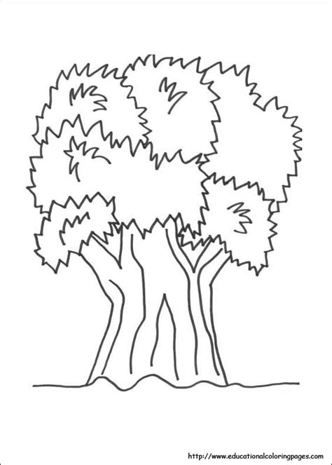 nature coloring pages educational fun kids coloring pages  preschool skills worksheets
