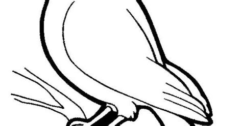 The cardinal bird also takes its name from the cardinal bishops. Cardinal Coloring Page | coloring Pages | Pinterest ...