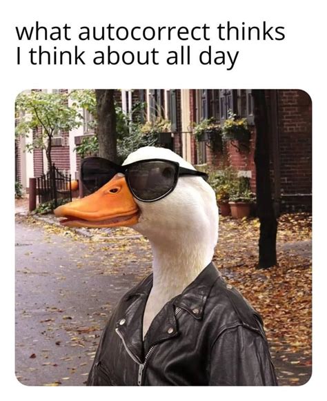 Duck Meme By Poisonivyrex Memedroid