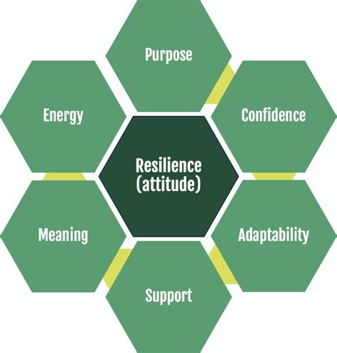 What Is Resilience Why Resilient Leadership Is Important The
