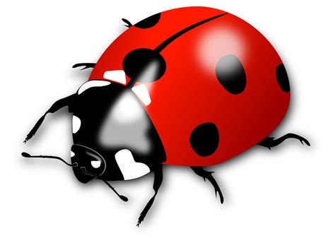 Ladybug Garden Red Vector Svg Clipart Lady Bug Clip Art Etsy