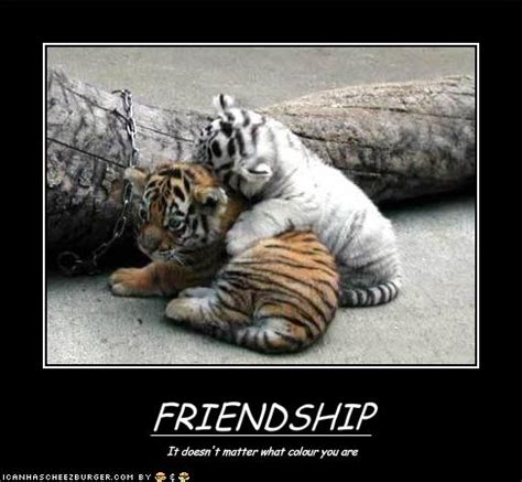 People love to share their friendship photos and selfies on social media with cute. Days 2012: Friendship Day Funny