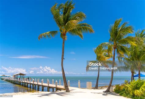 Islamorada Florida Keys Beach Scene Stock Photo Download Image Now