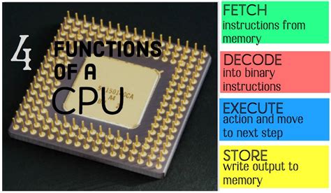What Are The Main Functions Of A Cpu