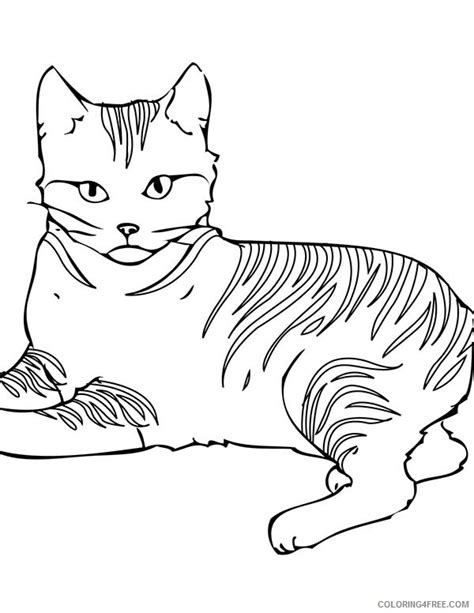 26 Best Ideas For Coloring Calico Cat Coloring Page