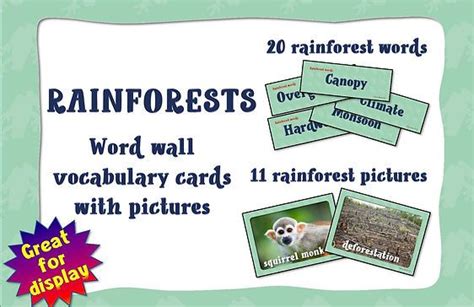 Free Rainforest Worksheets For Teaching And Learning About Rainforests