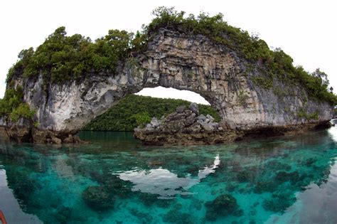Palau Micronesia Places To Travel Places To Visit Places To Go