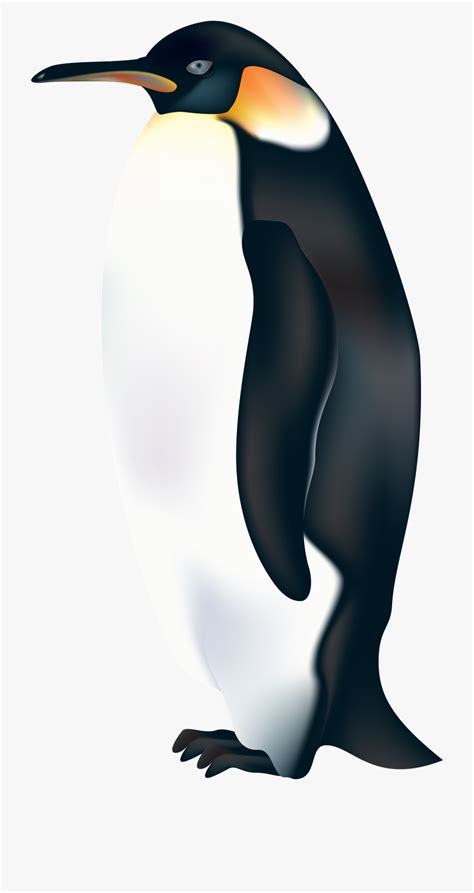 Download High Quality Penguin Clipart Emperor Transparent Png Images