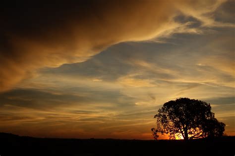 Free Images Landscape Tree Nature Horizon Silhouette Cloud Sun