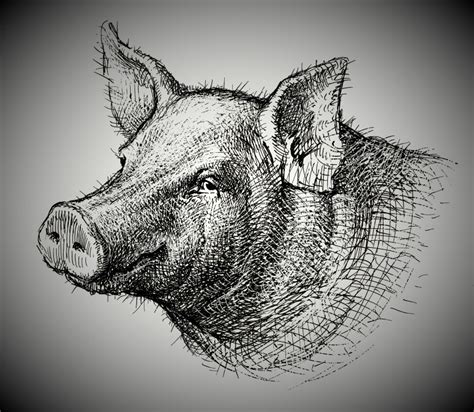 Pigs Get Fat Hogs Get Slaughtered A Memoir Of The Tro X V Anadarko
