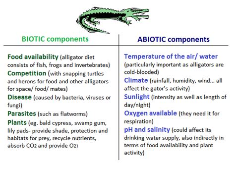 Abiotic And Biotic