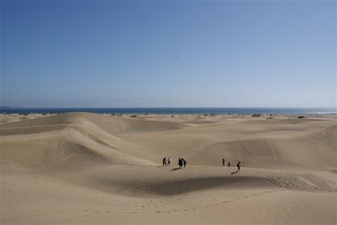 Free Images Beach Landscape Sea Sand Desert Dune Material Habitat Sahara Oasis Wadi