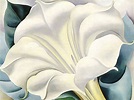 The White Flower, 1932 by Georgia O'Keeffe