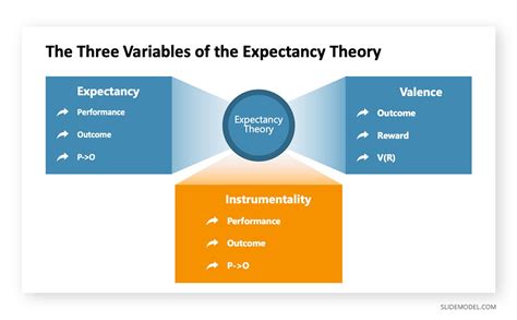 Key Components Of Expectancy Theory