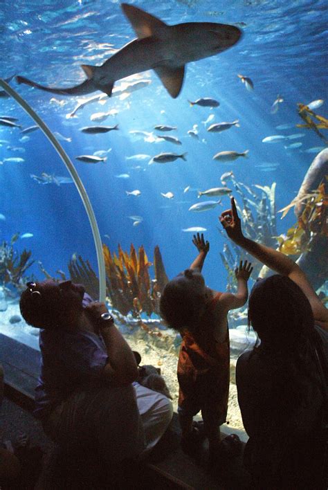 One Tank Trips Merlin Entertainments Plc To Open Major