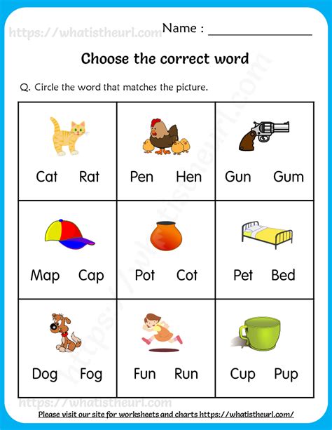 Choose The Correct Word Worksheets 2 Your Home Teacher