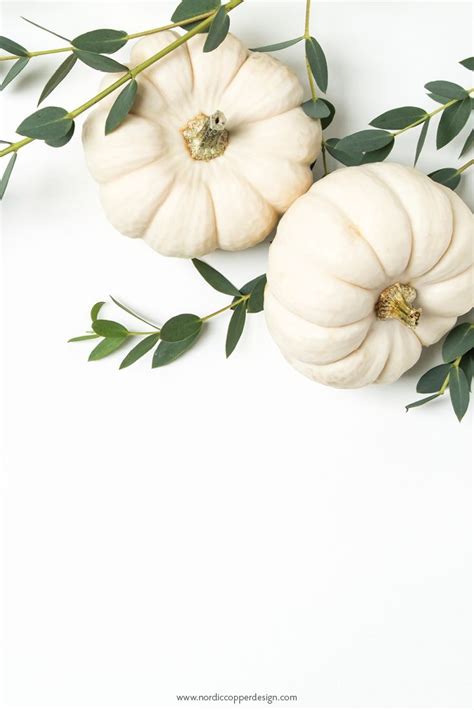 Fall Blogger Photo With White Pumpkins Give Your Website Brand Of