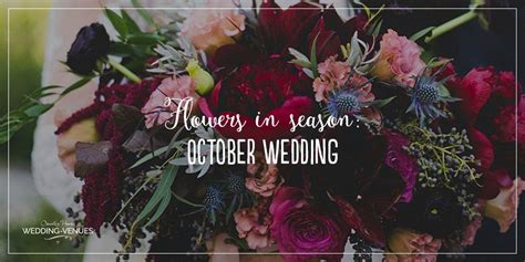 We did not find results for: Awesome Purple Flowers In Season October Uk And Pics ...