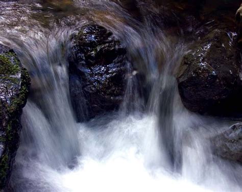 Muir Woods Waterfall 005 D Kadah Tanaka Flickr