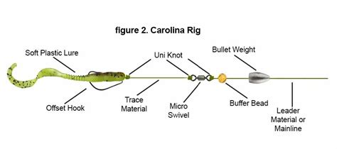 Texas Rig Vs Carolina Rig Which Is Best To Use