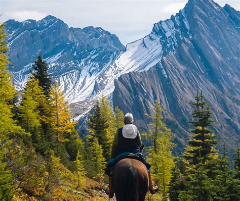 Banff Horseback Banff Trail Riders Official Website