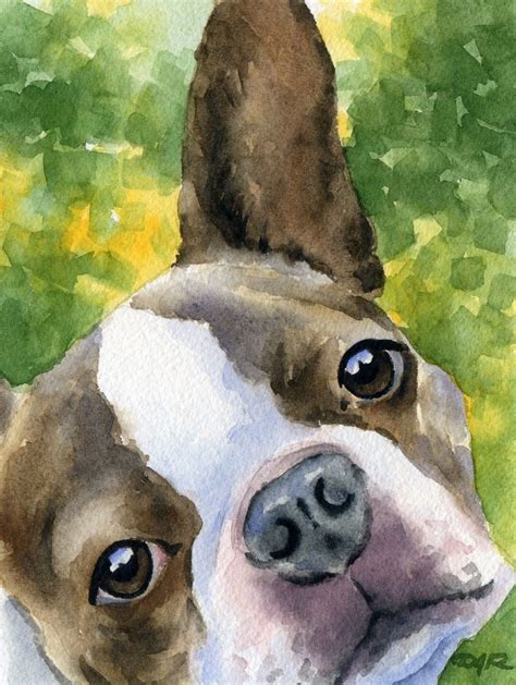 Boston Terrier Dog Watercolor Signed Fine Art By K9artgallery 1250