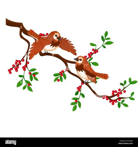 Two Birds On A Branch With Red Berries Isolated On White Background