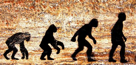 An Introduction To Evolutionary Biology Lifelong Learning At Home