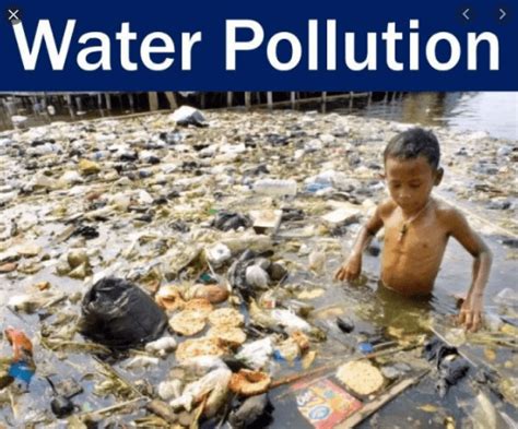 Water Pollution Causes Effects And Control With Complete Solutions